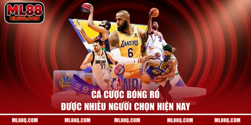 Cá cược bóng rổ được nhiều người chọn hiện nay