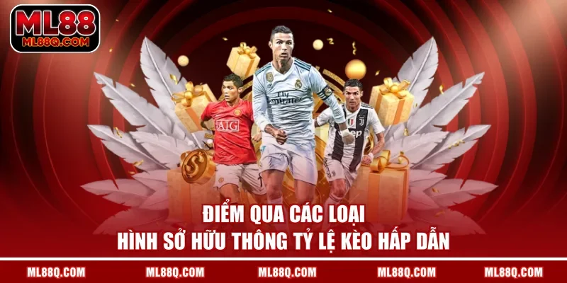 Điểm qua các loại hình sở hữu thông tỷ lệ kèo hấp dẫn 