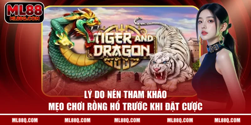 Lý do nên tham khảo mẹo chơi Rồng Hổ trước khi đặt cược