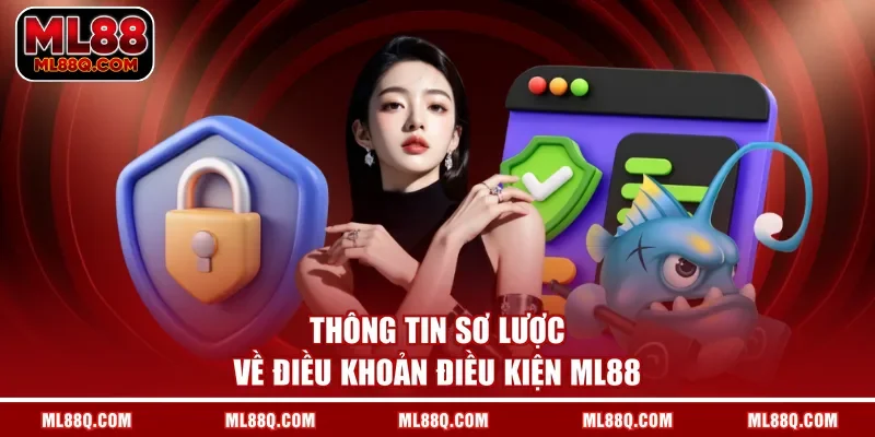 Thông tin sơ lược về điều khoản điều kiện ML88