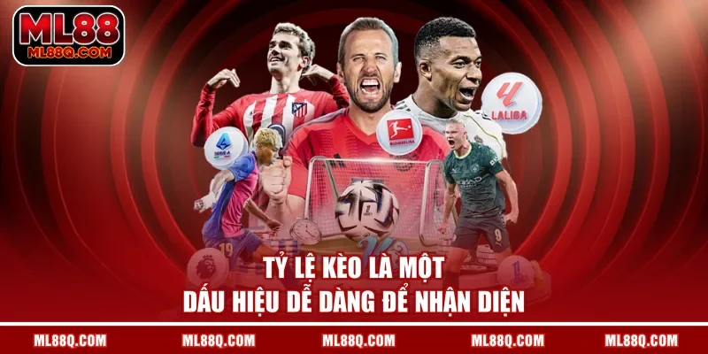 Tỷ lệ kèo là một dấu hiệu dễ dàng để nhận diện